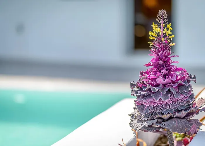 Siete Mares Luxury Hotell