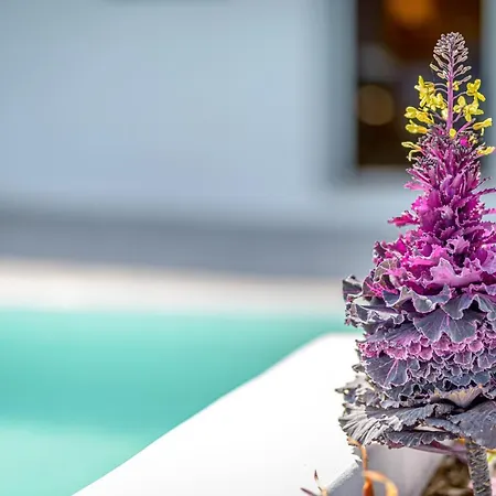 Siete Mares Luxury 酒店